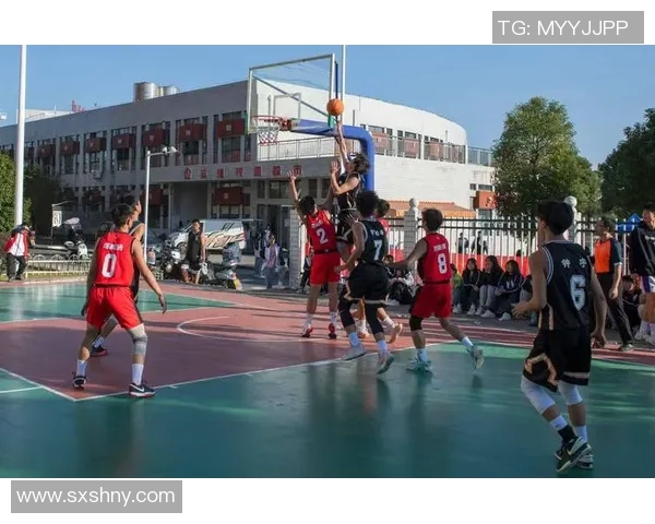 陈林坚的篮球之路：从青涩少年到职业赛场的辉煌历程与成长故事