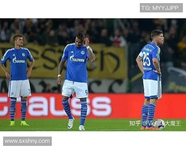 维迪斯与赫拉克斯的巅峰对决谁将成为最终胜者