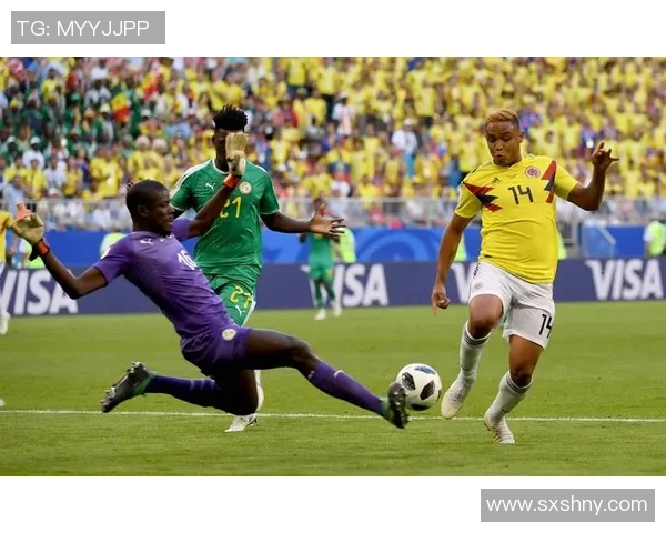 西班牙与巴西足球历史交锋记录及比分回顾分析